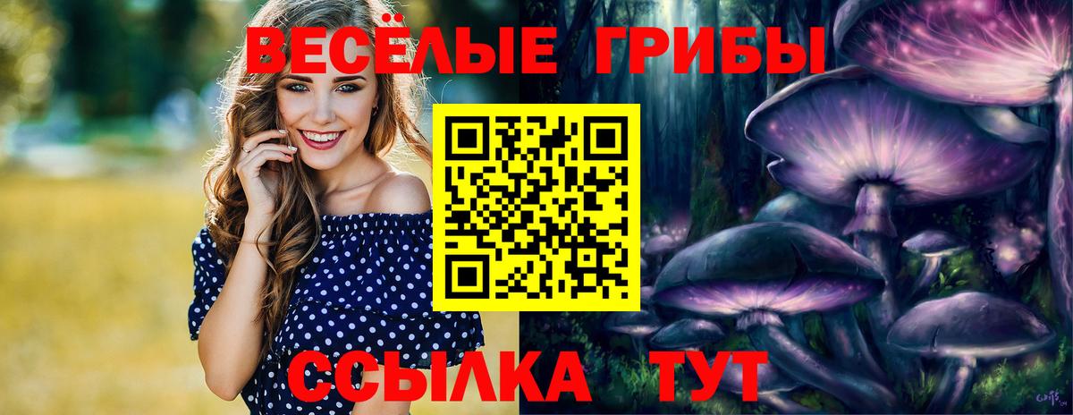 Псилоцибиновые грибы Psilocybine cubensis  Вход с VPN  Черкесск 